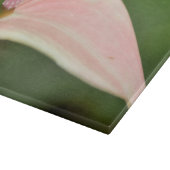 Roze Anthurium Bloem Kauai, Hawaï Snijplank (Hoek)