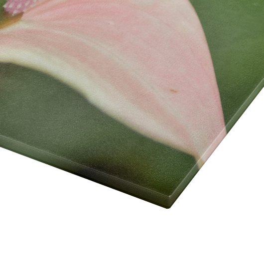 Roze Anthurium Bloem Kauai, Hawaï Snijplank (Hoek)