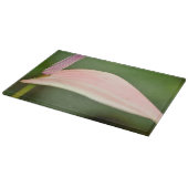 Roze Anthurium Bloem Kauai, Hawaï Snijplank (Hoek)