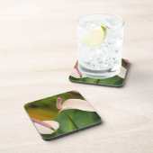 Roze Anthurium Bloemen Kauai Hawaii Bier Onderzetter (Rechterzijde)