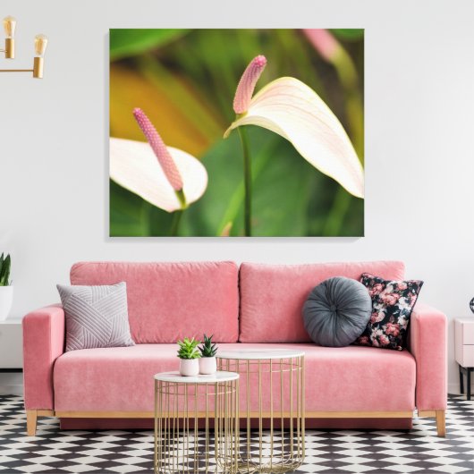 Roze Anthurium Bloemen Kauai Hawaii Canvas Afdruk (Insitu (Woonkamer))