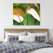 Roze Anthurium Bloemen Kauai Hawaii Canvas Afdruk (Insitu (Slaapkamer))