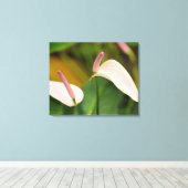 Roze Anthurium Bloemen Kauai Hawaii Canvas Afdruk (Insitu (Houten vloer))
