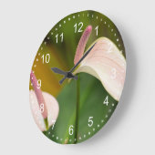 Roze Anthurium Bloemen Kauai Hawaii Grote Klok (Hoek)