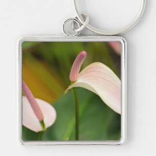 Roze Anthurium Bloemen Kauai Hawaii Sleutelhanger
