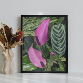Roze Anthurium Bloesems en Bladerrijk Loof Poster