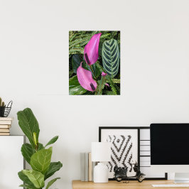 Roze Anthurium Bloesems en Bladerrijk Loof Poster