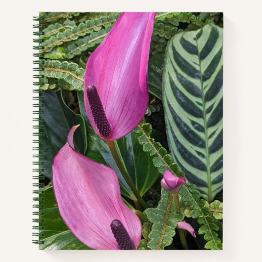 Roze Anthurium Blooms en bladgroen Notitieboek (Voorkant)