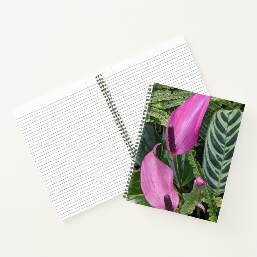 Roze Anthurium Blooms en bladgroen Notitieboek (Binnen)