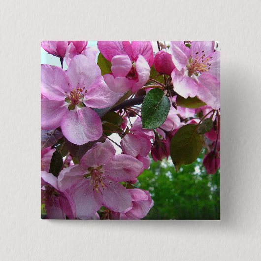 Roze appel bloesems vierkante button 5,1 cm (Voorkant)