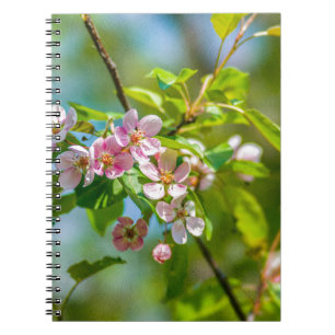 Roze appelbloemen notitieboek