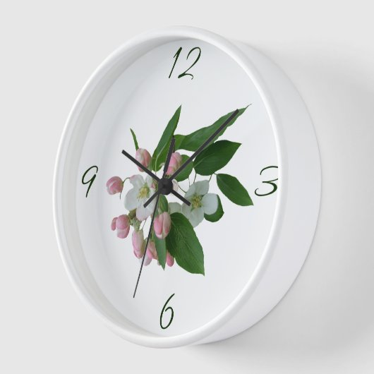  roze appelbloesem mooie bloemen (Hoek)