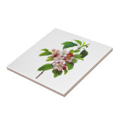 Roze appelbloesems van Pierre Joseph Redoute Tegeltje (Zijkant)