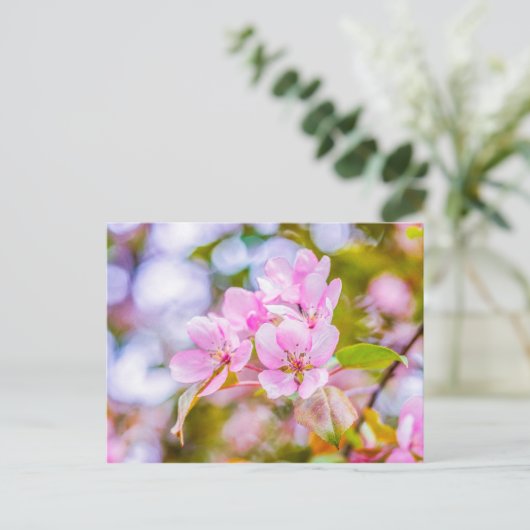 Roze Apple Blossom Briefkaart (Staand voorkant)