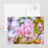 Roze Apple Blossom Briefkaart (Voorkant / Achterkant)
