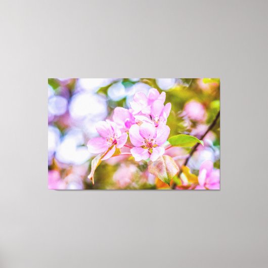 Roze Apple Blossom Canvas Afdruk (Voorkant)