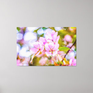 Roze Apple Blossom Canvas Afdruk
