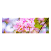Roze Apple Blossom Foto Afdruk (Voorkant)