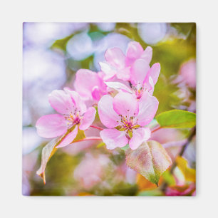 Roze Apple Blossom Magneet