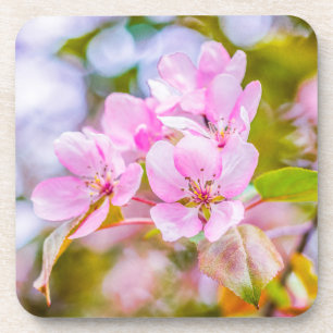 Roze Apple Blossom Onderzetter