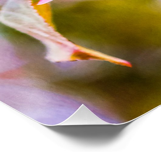 Roze Apple Blossom Poster (Hoek)