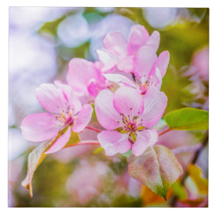 Roze Apple Blossom Tegeltje