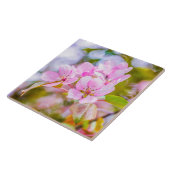 Roze Apple Blossom Tegeltje (Zijkant)