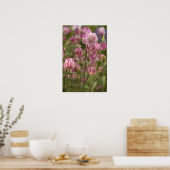 Roze aquilegia ... poster (Keuken)