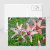 Roze assiatische gele briefkaart (Voorkant / Achterkant)