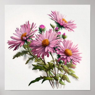 Roze Aster Bloem Art Print Poster