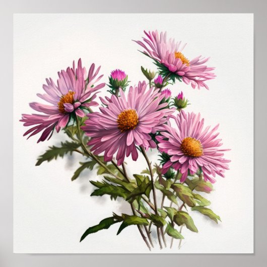 Roze Aster Bloem Art Print Poster (Voorkant)