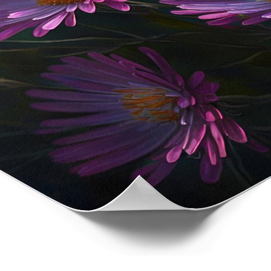 Roze Aster Bloem Art Print Poster (Hoek)