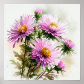 Roze Aster Bloem Art Print Poster (Voorkant)