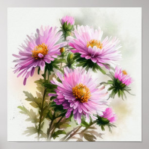 Roze Aster Bloem Art Print Poster