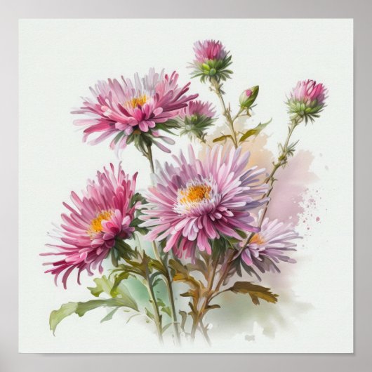 Roze Aster Bloem Art Print Poster (Voorkant)