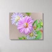 Roze Aster Bloemen Bloemen Bloemen Canvas Art Prin (Voorkant)