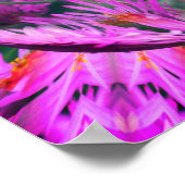 Roze Aster Flower Energies Abstracte kunst Poster (Hoek)