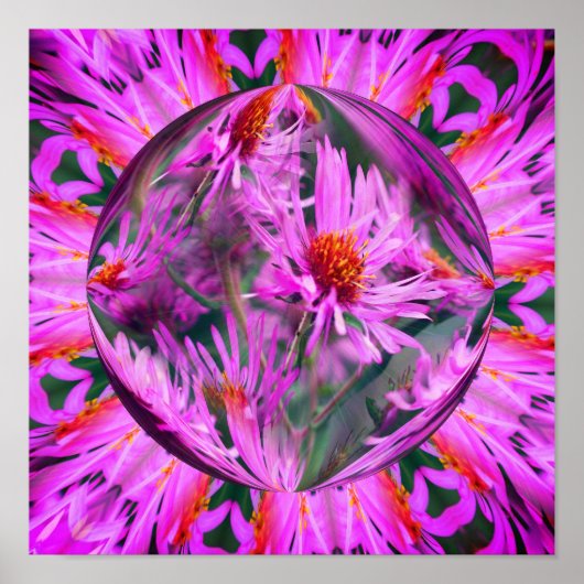 Roze Aster Flower Energies Abstracte kunst Poster (Voorkant)
