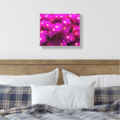 Roze aster Flowers Canvas Afdruk (Insitu (Slaapkamer))