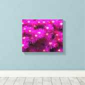 Roze aster Flowers Canvas Afdruk (Insitu (Houten vloer))