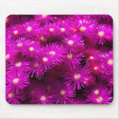 Roze aster Flowers Muismat (Voorkant)