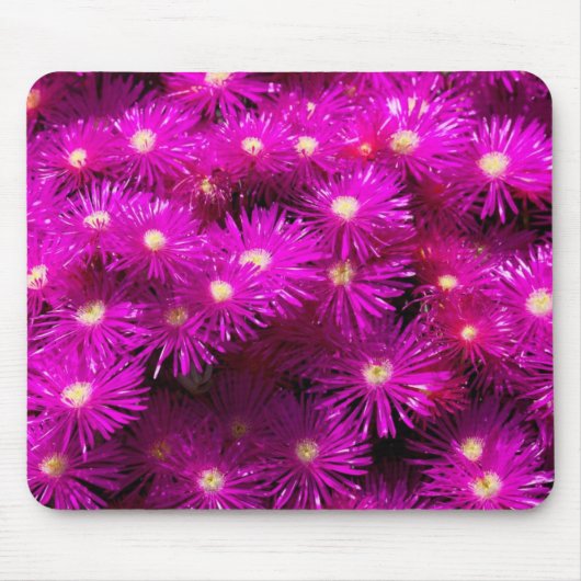 Roze aster Flowers Muismat (Voorkant)