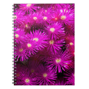 Roze aster Flowers Notitieboek
