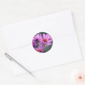 Roze aster Flowers Ronde Sticker (Envelop)