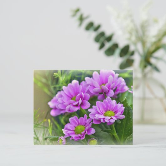 Roze asters briefkaart (Staand voorkant)