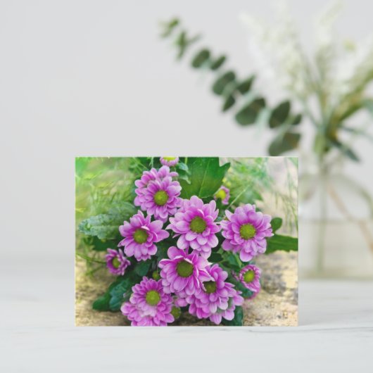 Roze asters briefkaart (Staand voorkant)