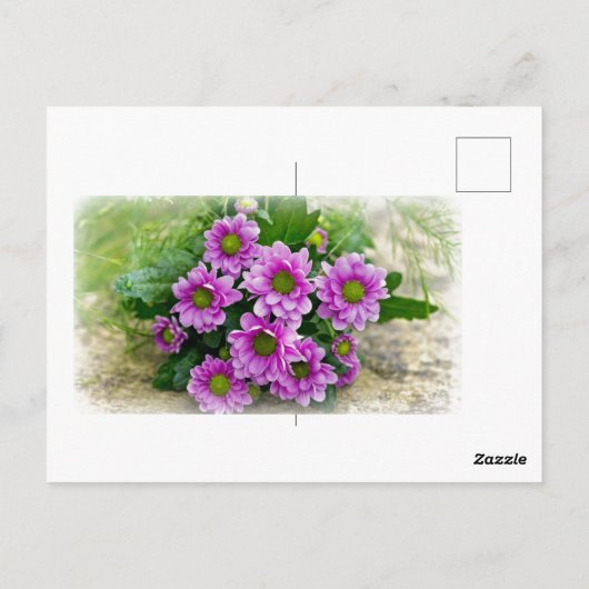 Roze asters briefkaart (Achterkant)