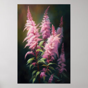 Roze Astilbe Flower Art Print Poster