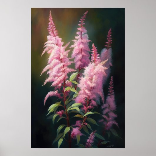 Roze Astilbe Flower Art Print Poster (Voorkant)
