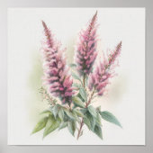 Roze Astilbe Flower Art Print Poster (Voorkant)